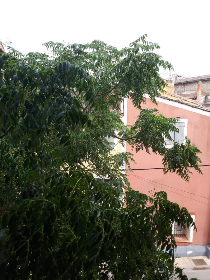 Le Petit Rochereau Daire LʼIsle-sur-la-Sorgue Dış mekan fotoğraf